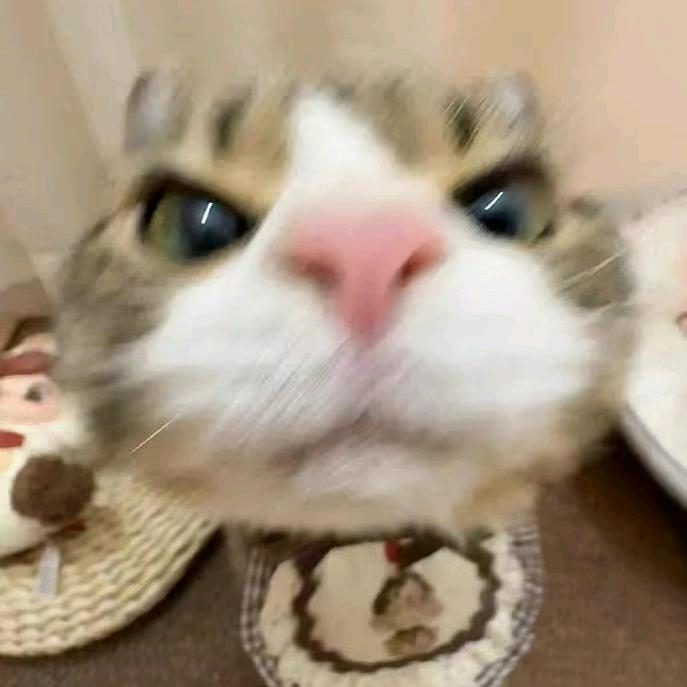 ～～～～