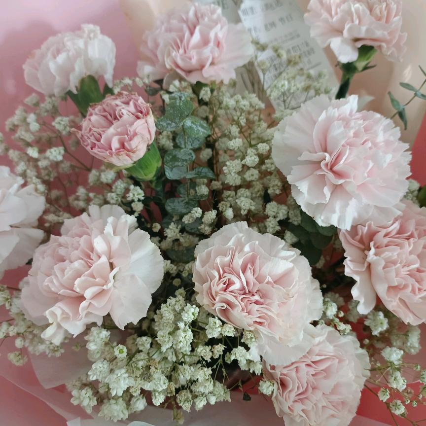 清溪（飞飞的小迷妹）