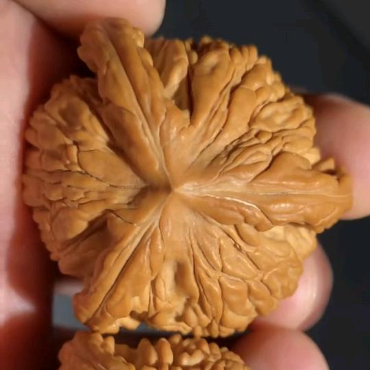 开心哥麻核桃