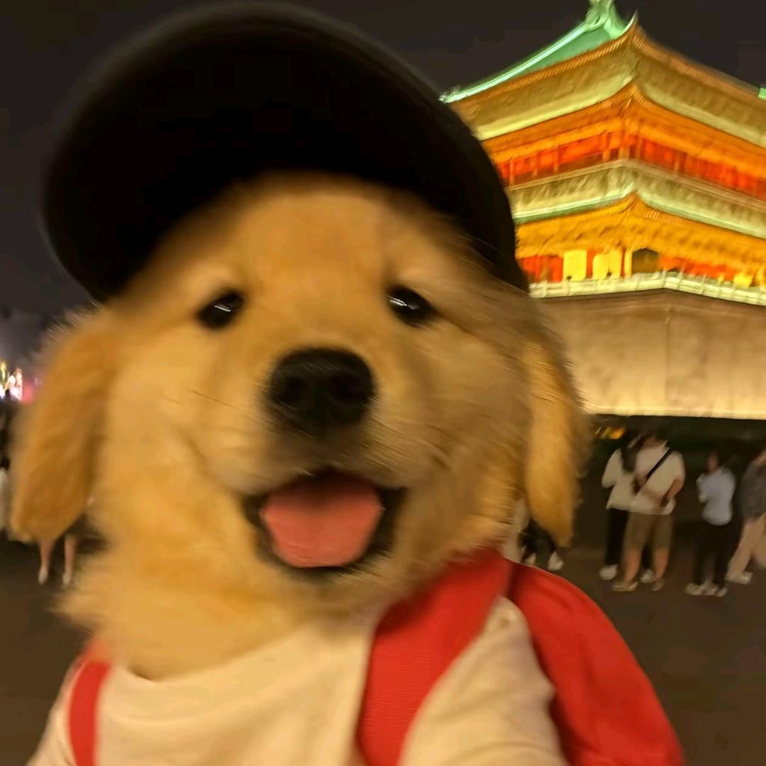 小豆学长