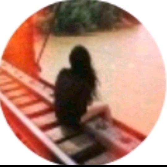 欢宝