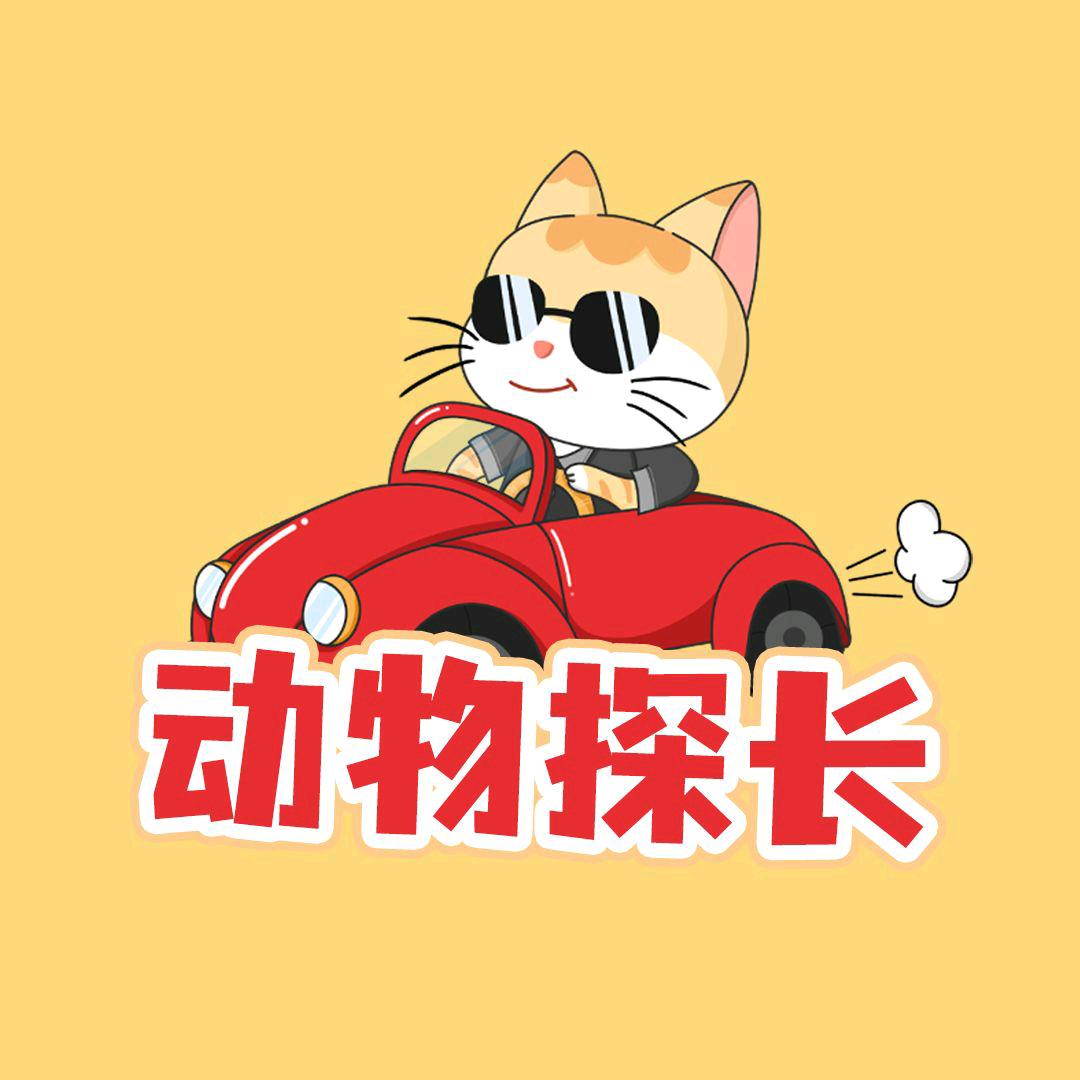 动物探长