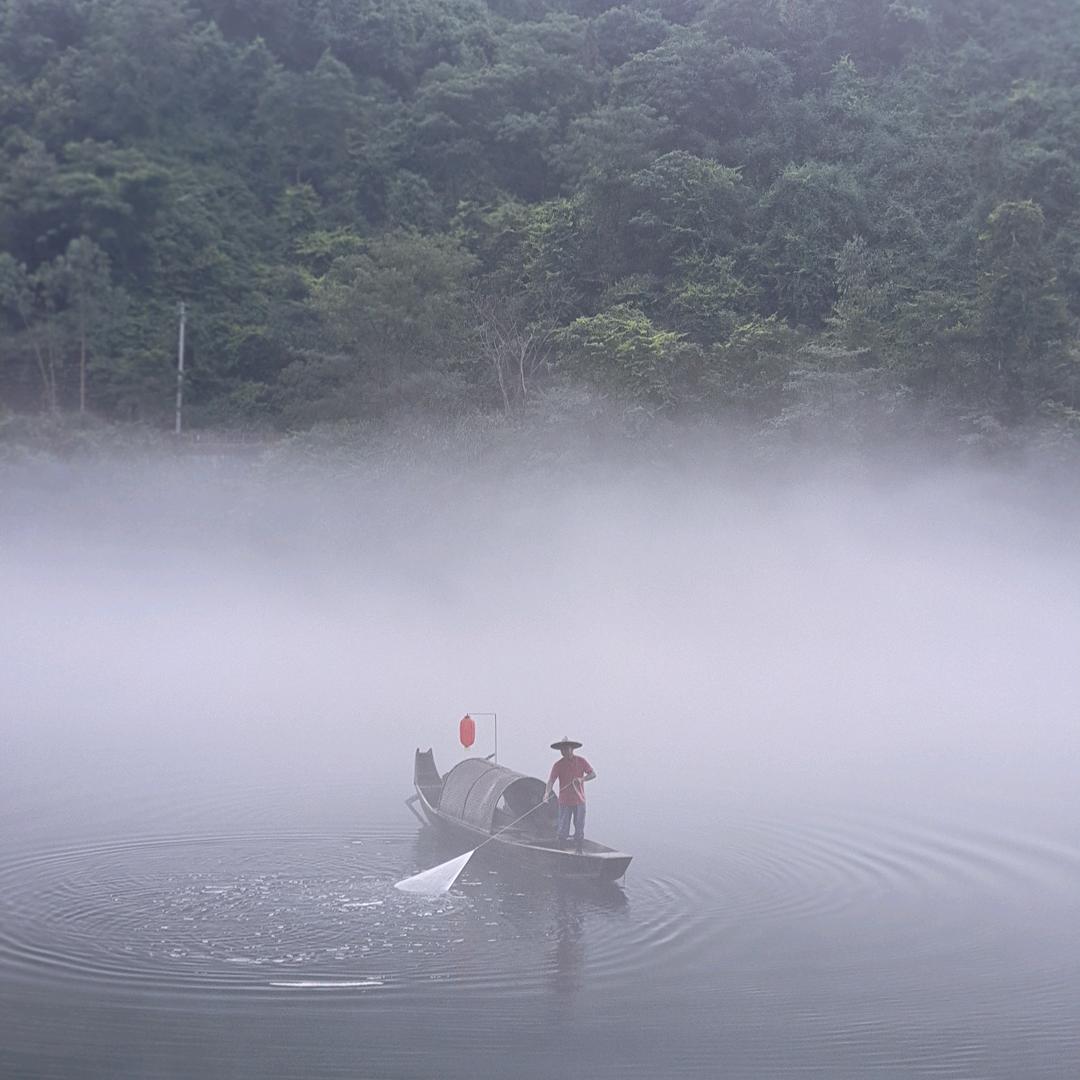 淡定浮云