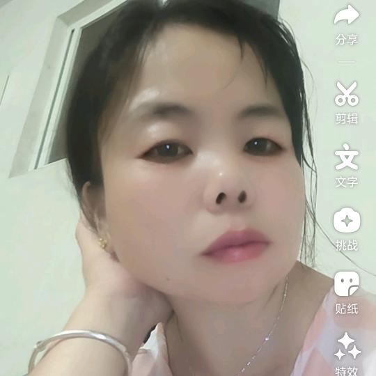 会飞的鱼