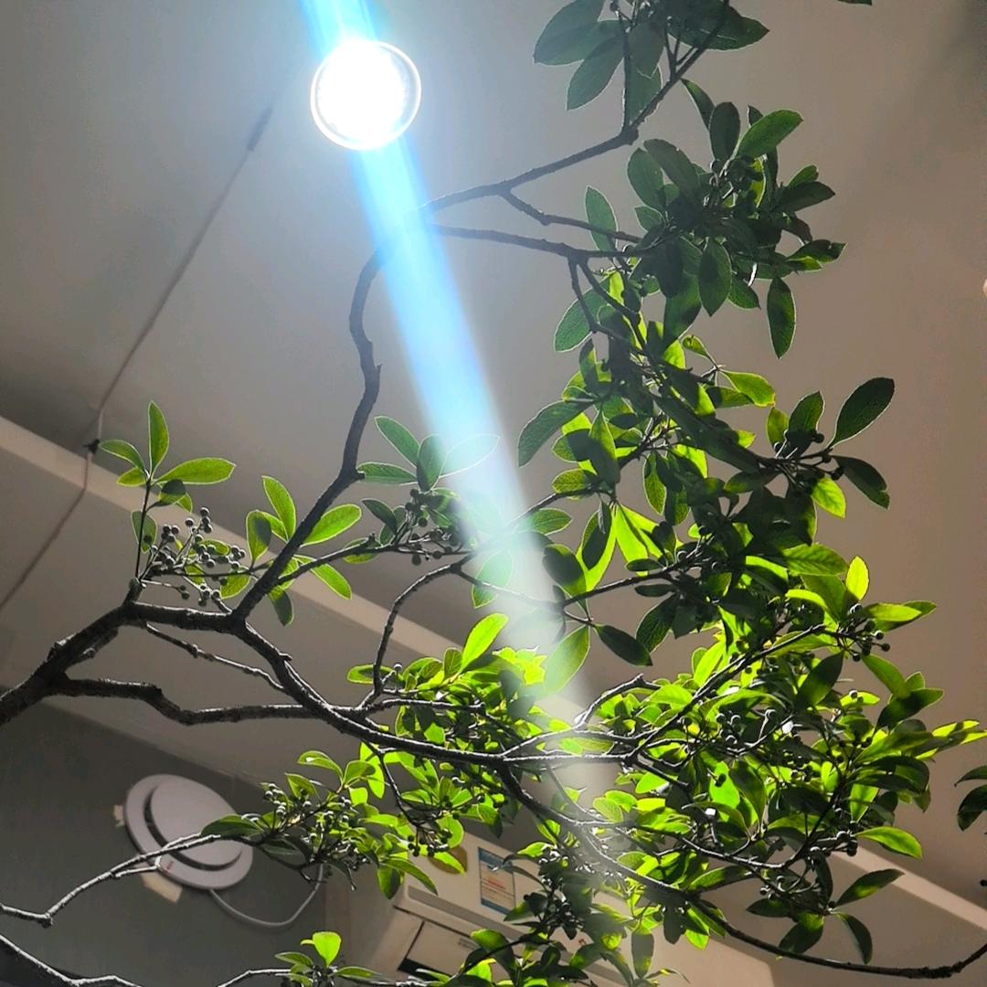 🐒王润江