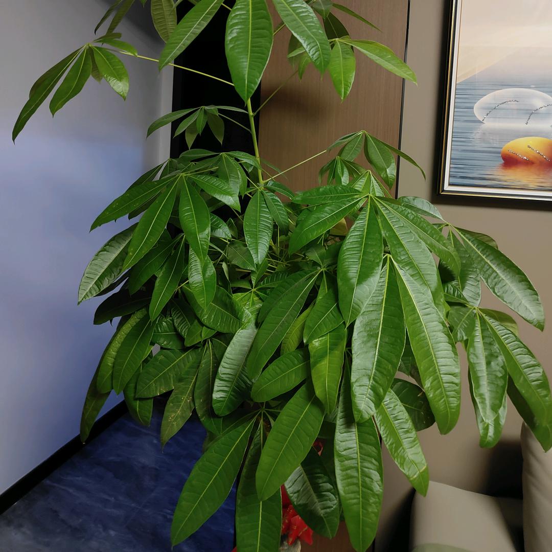 平平坦坦的陪伴