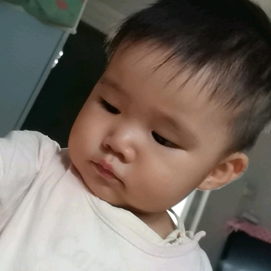 张师傅