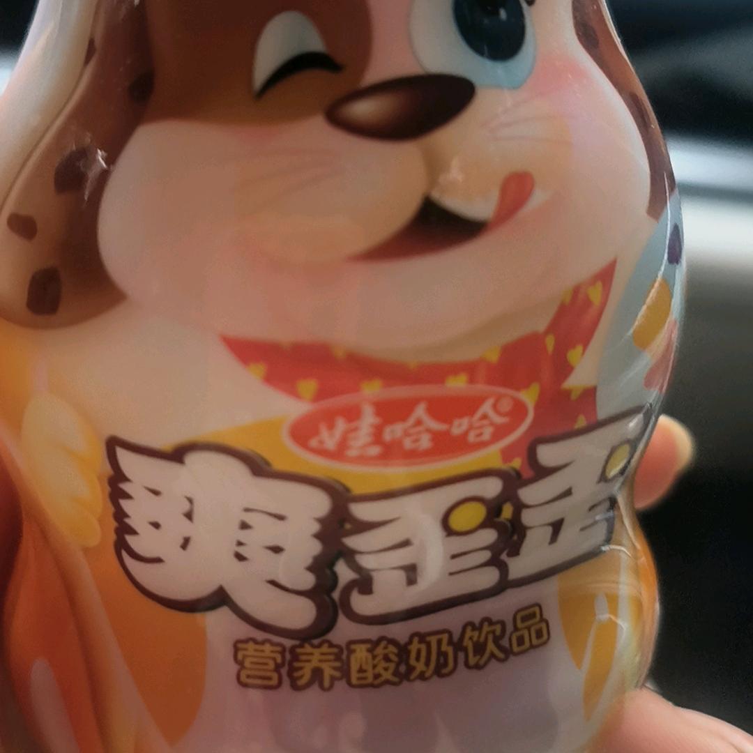 㤅儞