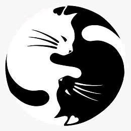 喀什市异领域密室娱乐馆