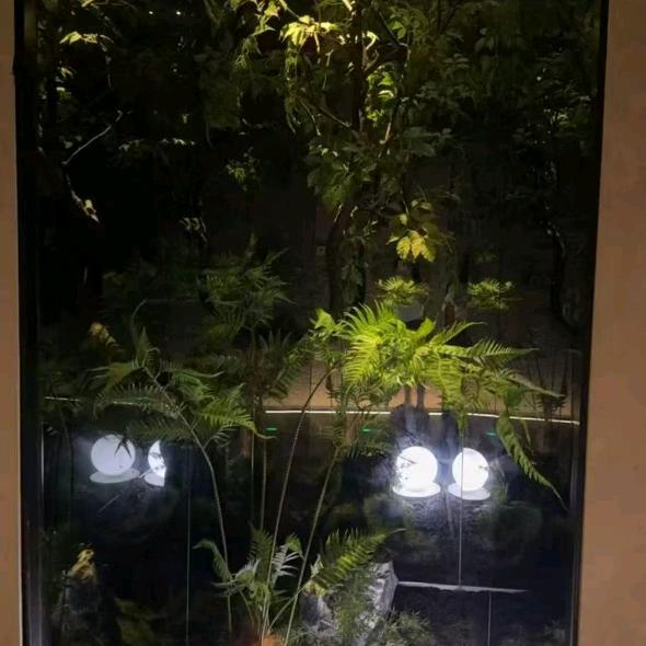 放纵  lw