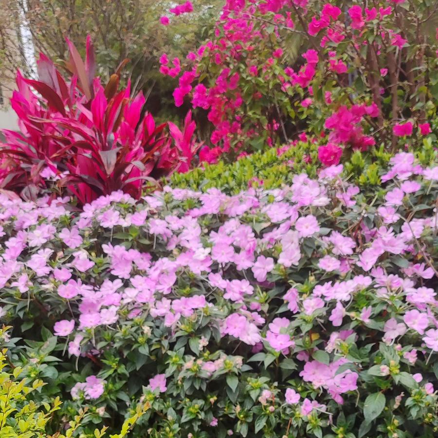 用户8526398549311沐沐