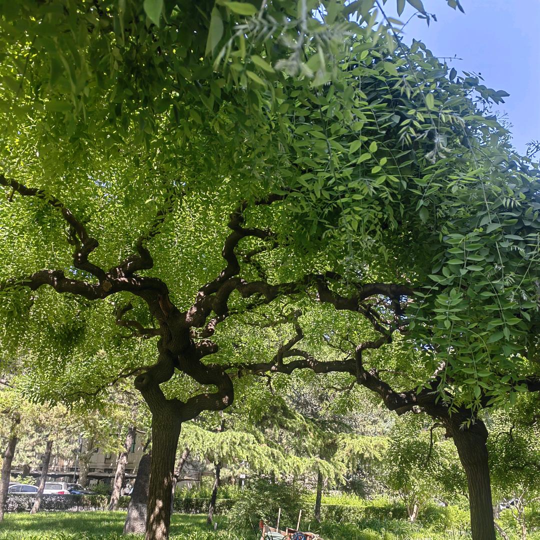 每天好
