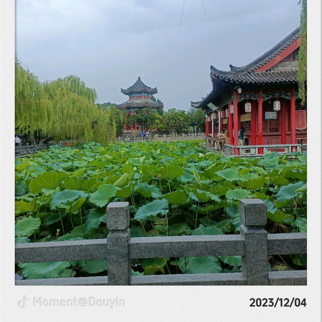 昨夜星尘