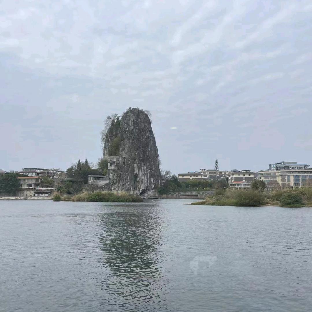 选择