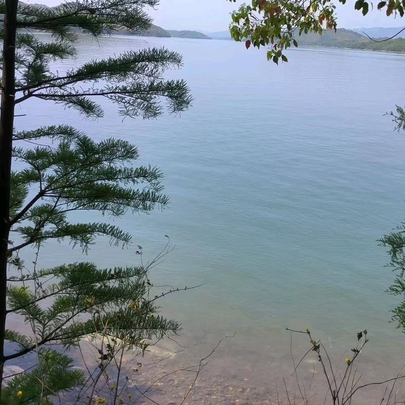 平平淡淡