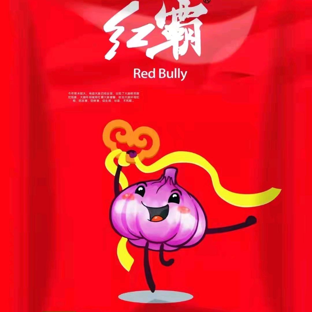 成武县和谐种业  种子批发