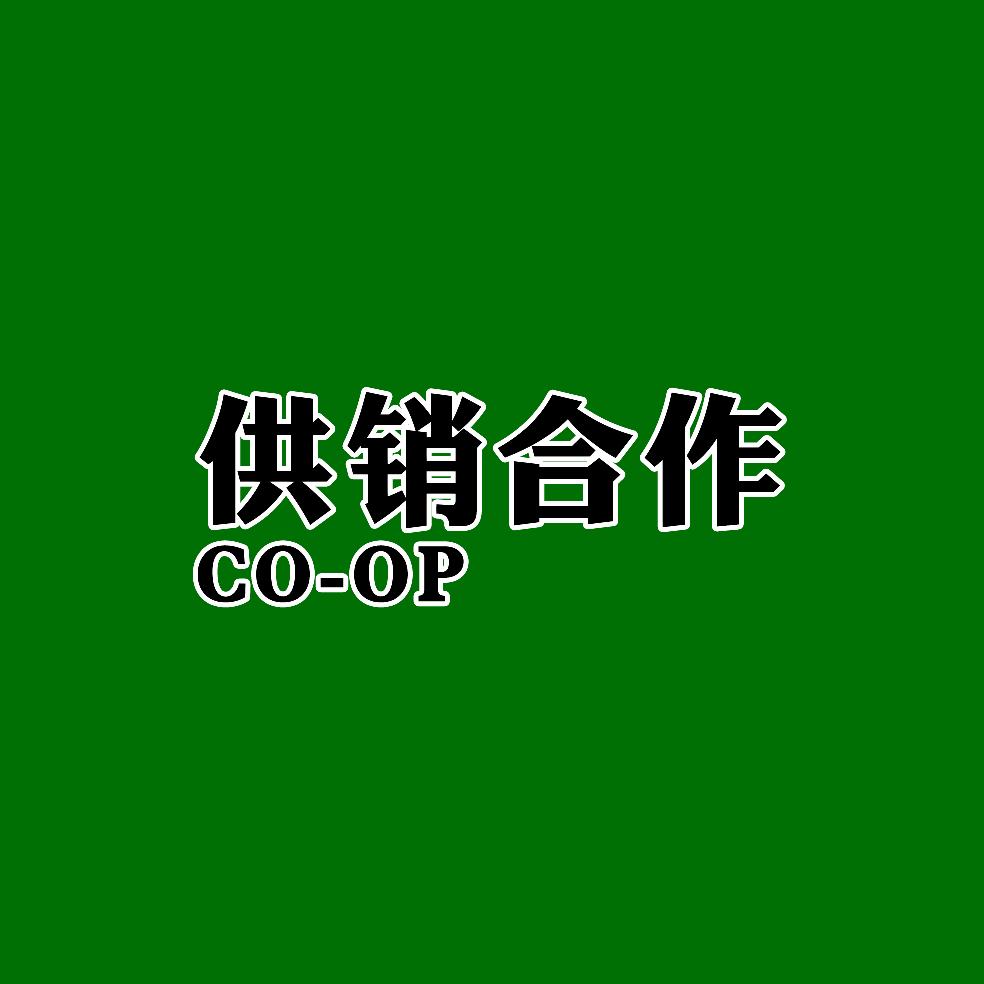 嘉盛家商贸