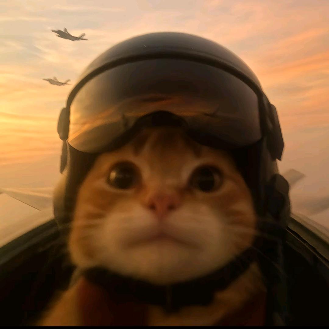 打不打打不打打不打打不打打不打打不打