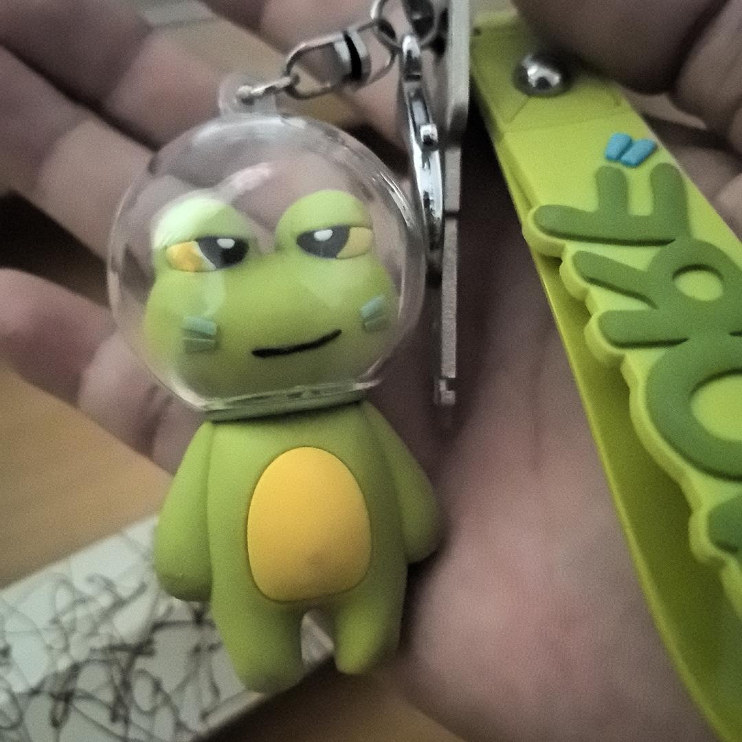 鸽子和荔枝