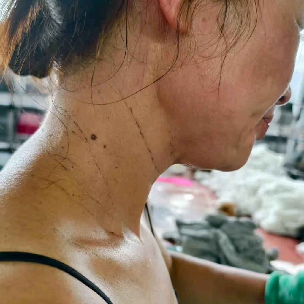 漂泊的游子在流浪