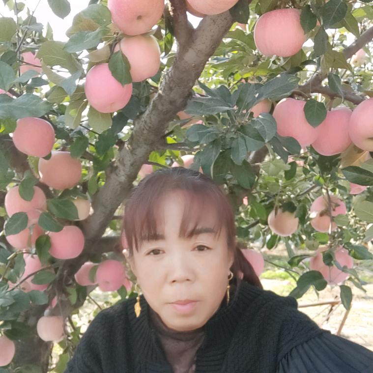 四川🌻远嫁🌻河北
