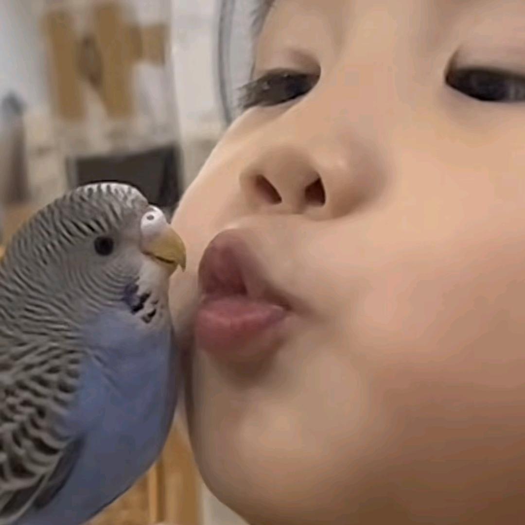 连进步