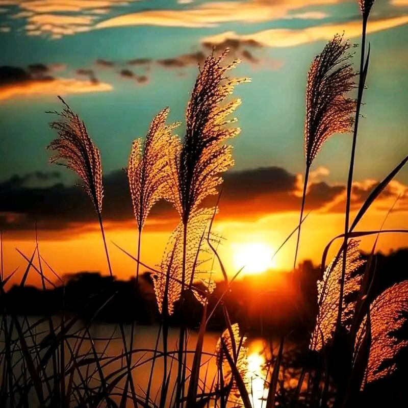 我不微笑，你别闹