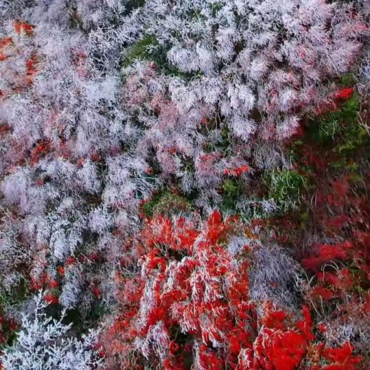 天空之城在微笑