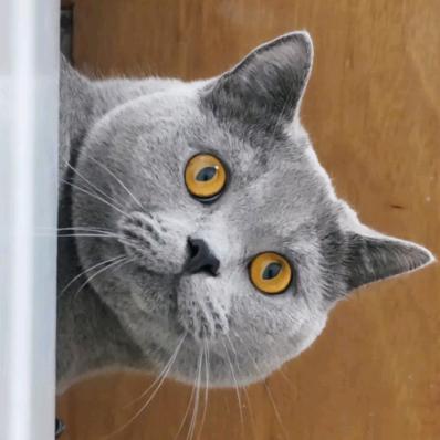 大牛哥🧸⫍ ⃢👁ܫ👁⃢ ⫎