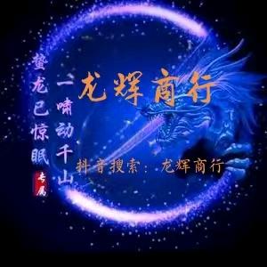 龙辉商行