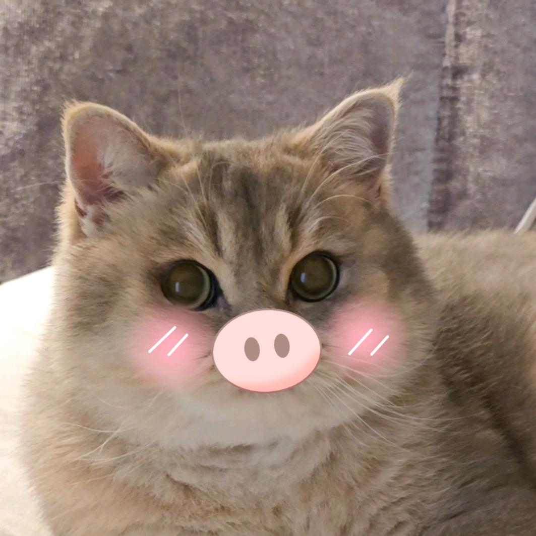 嘟嘟炮本炮