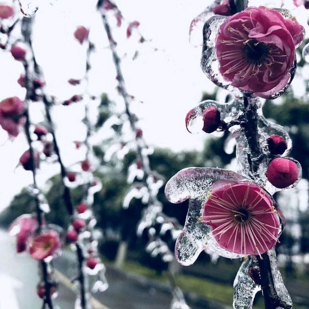 人生