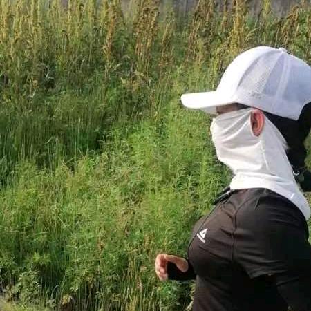 懂你v8