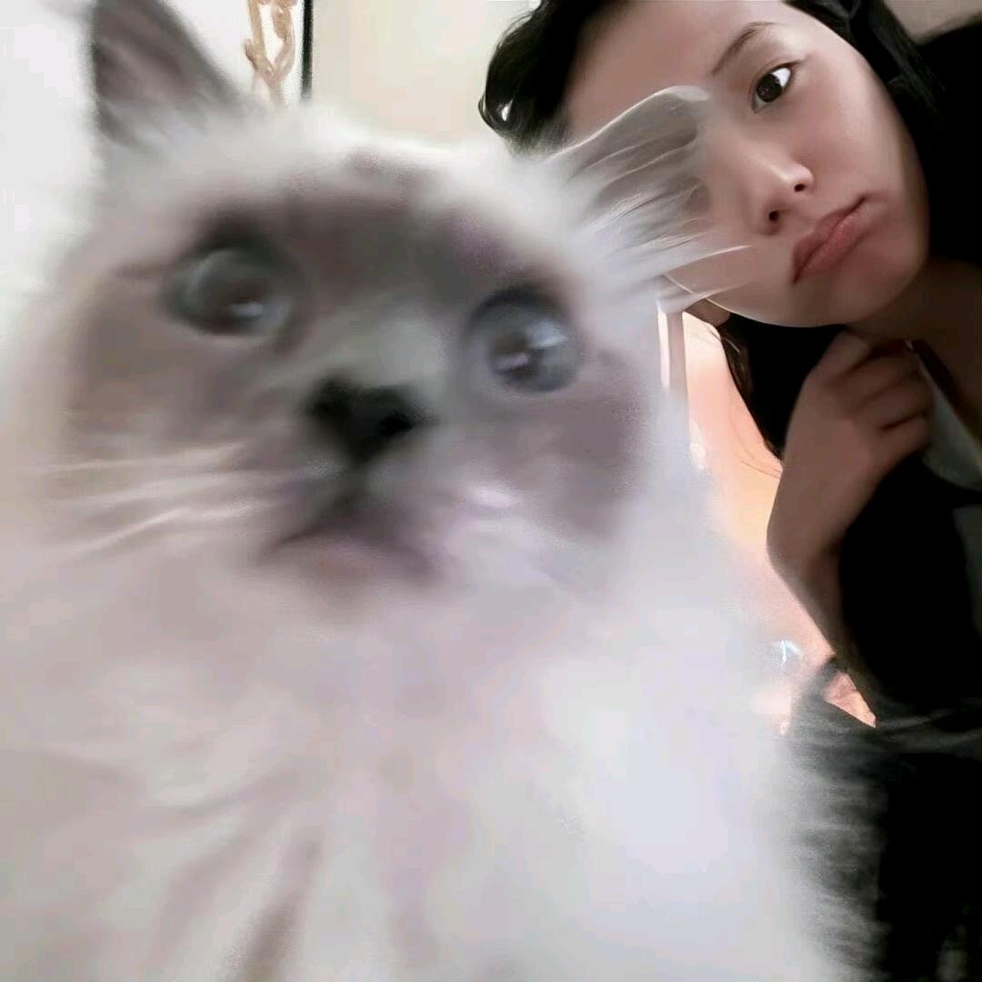 阳得秋天好物