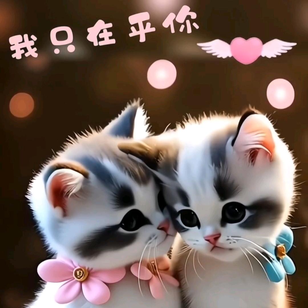 不忘初心