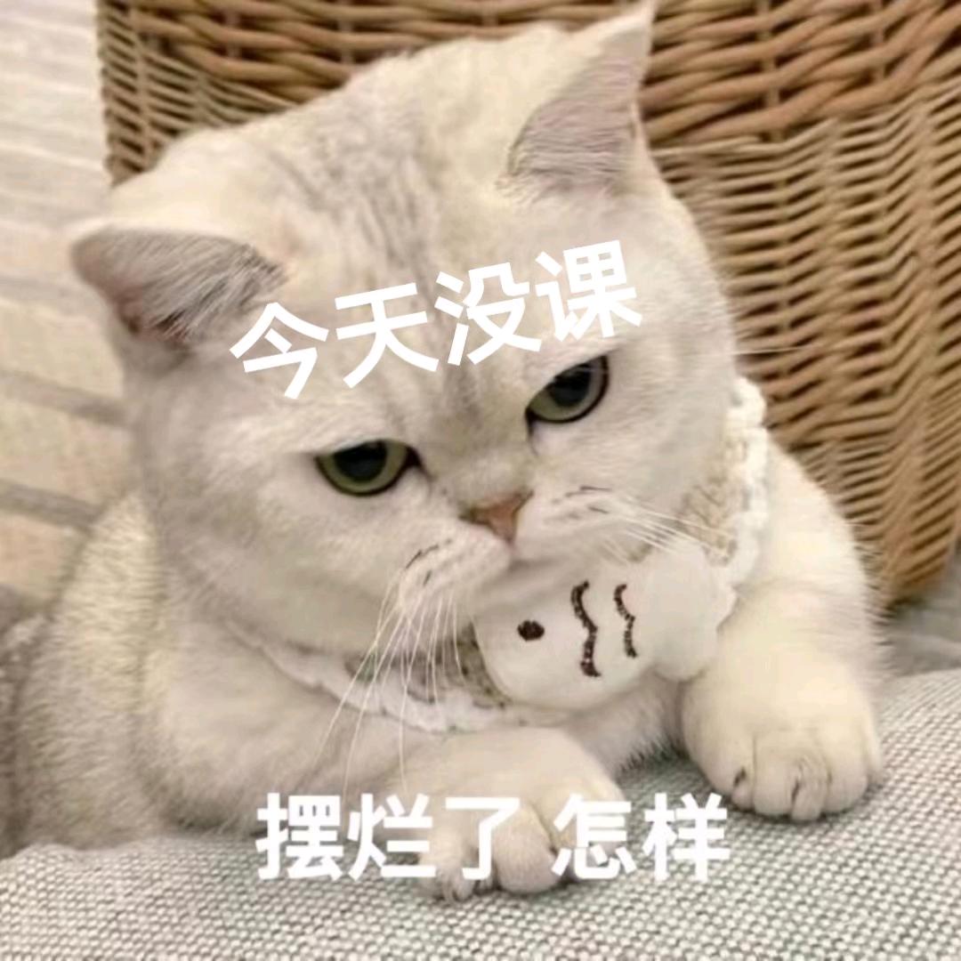 Qw1ko-Y