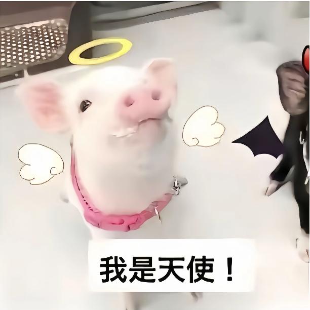 一张厕纸溜爆你