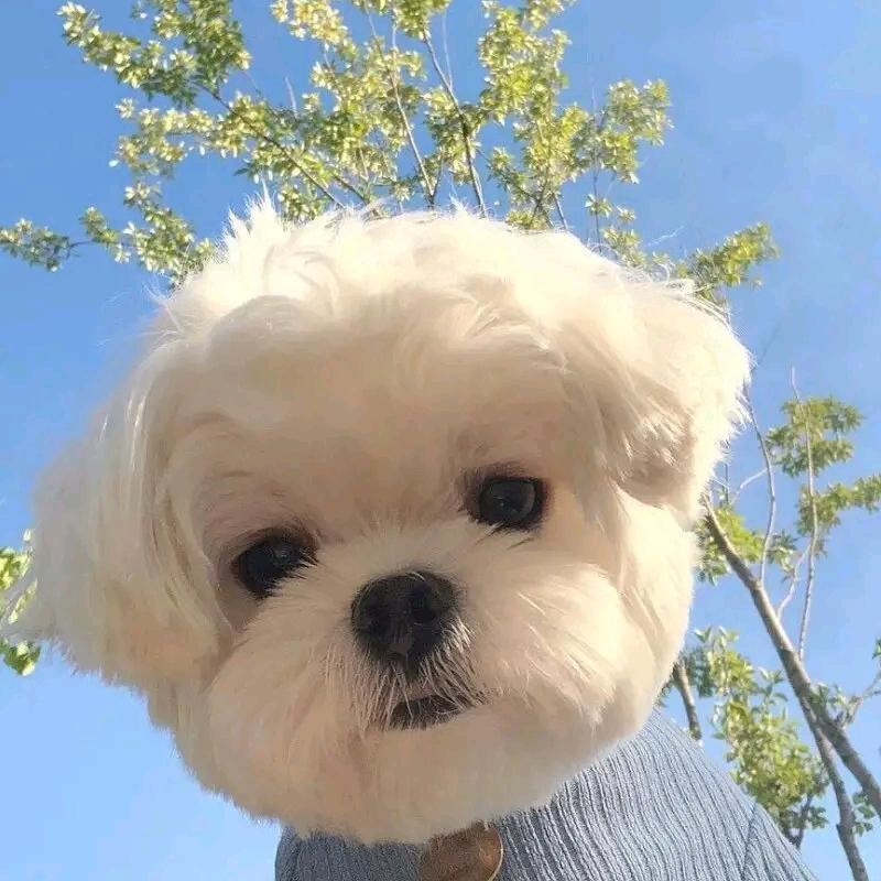 sun🍀