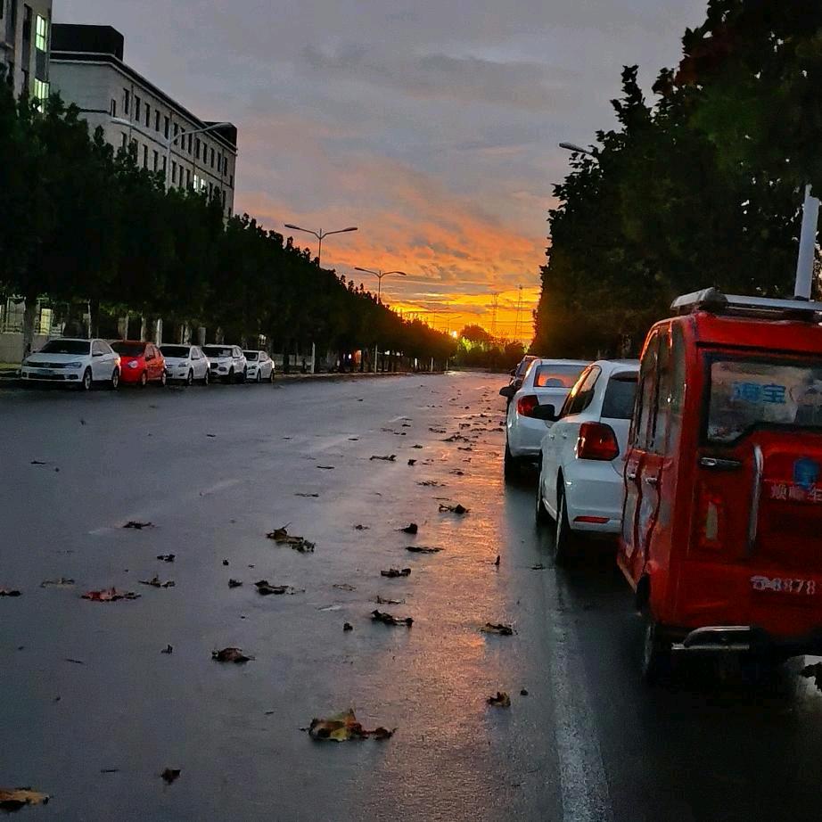 一生热爱难回头