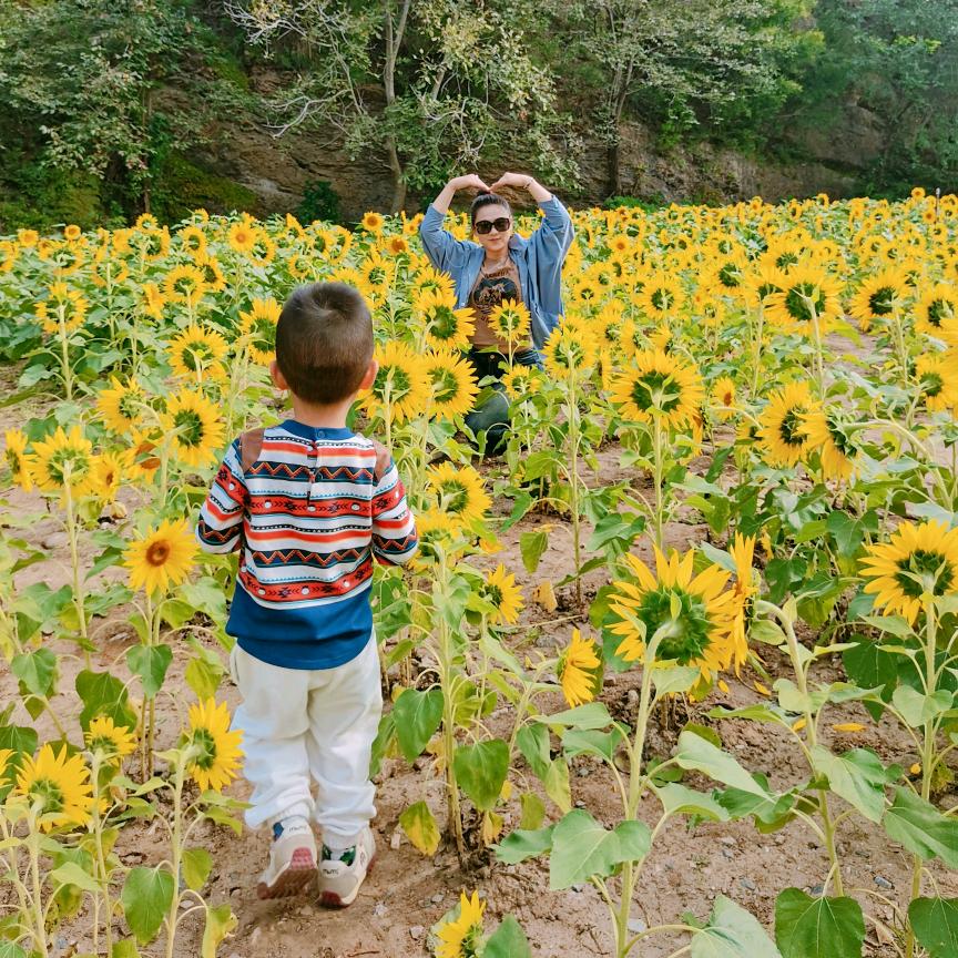 💓阳阳大宝贝🥰