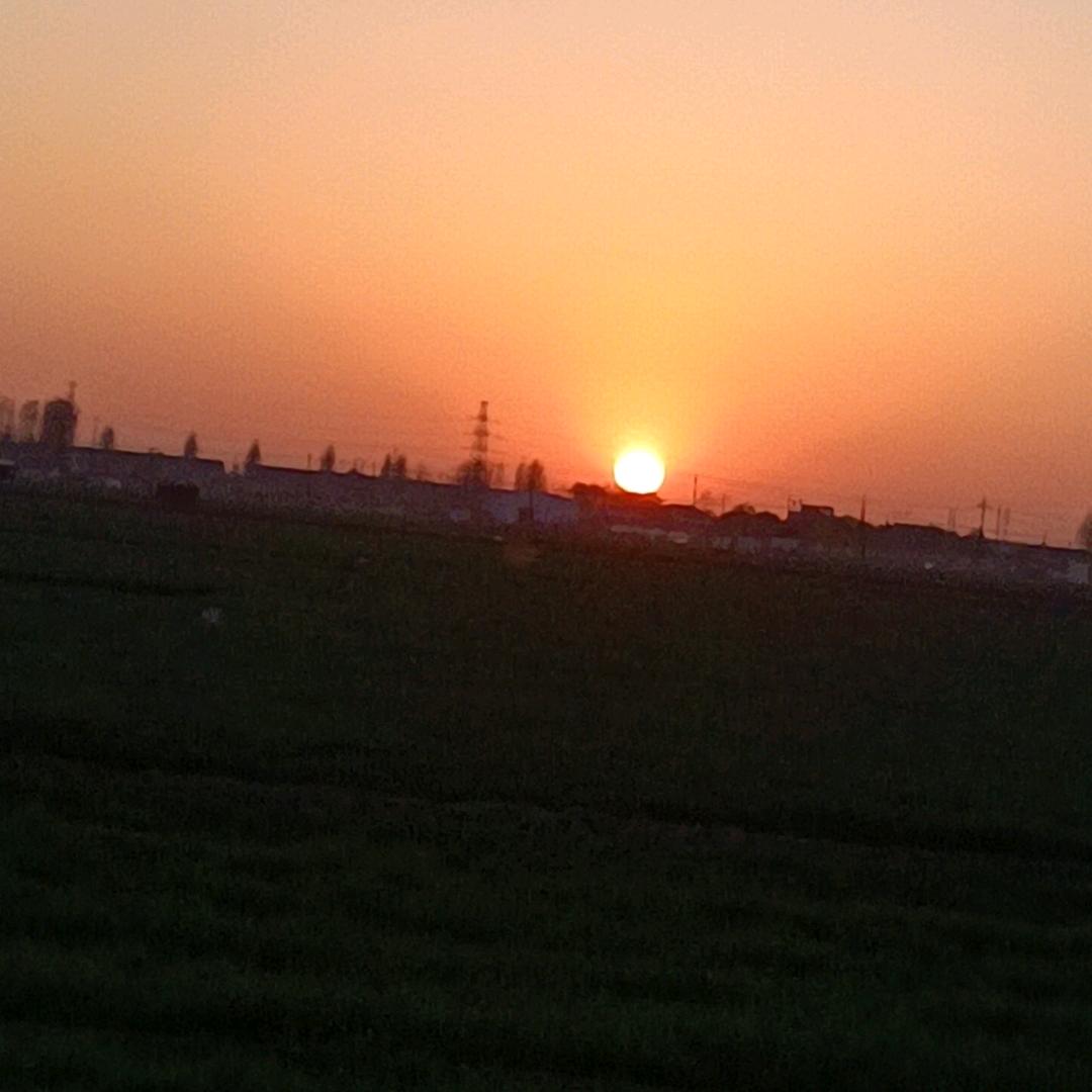 一品香炒货🔥老佟