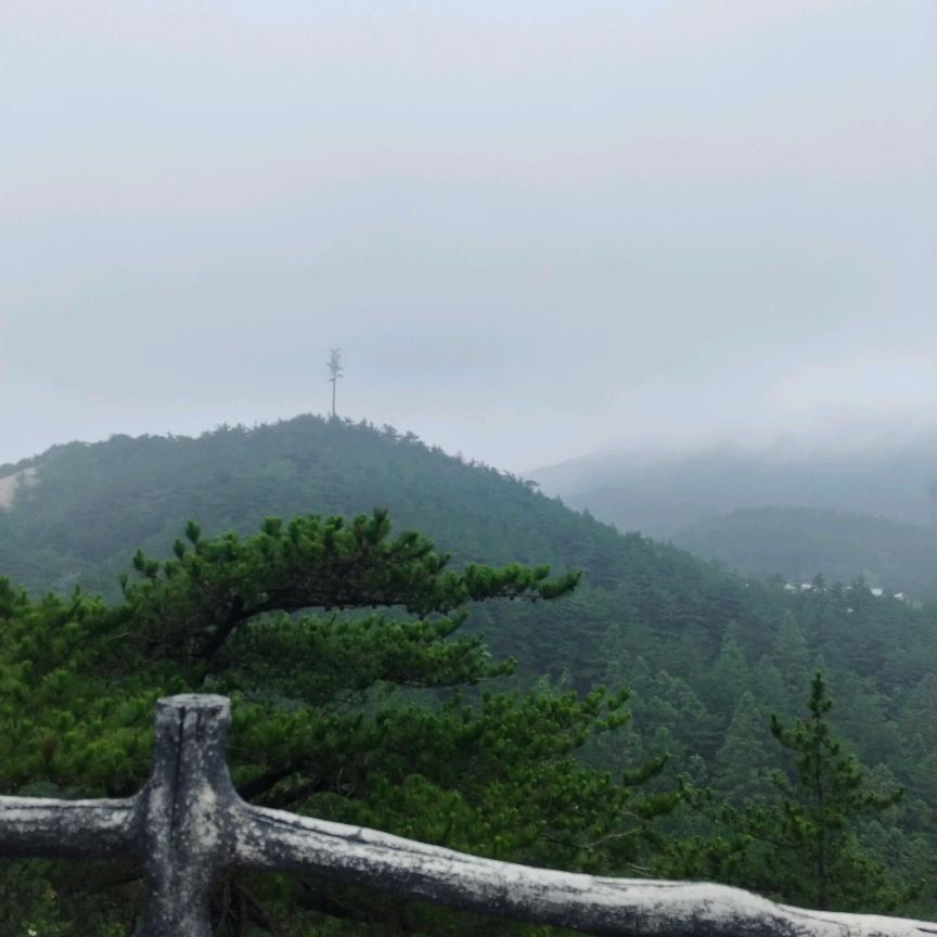 独来独往