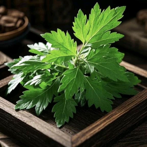 垄锦湖草本热敷