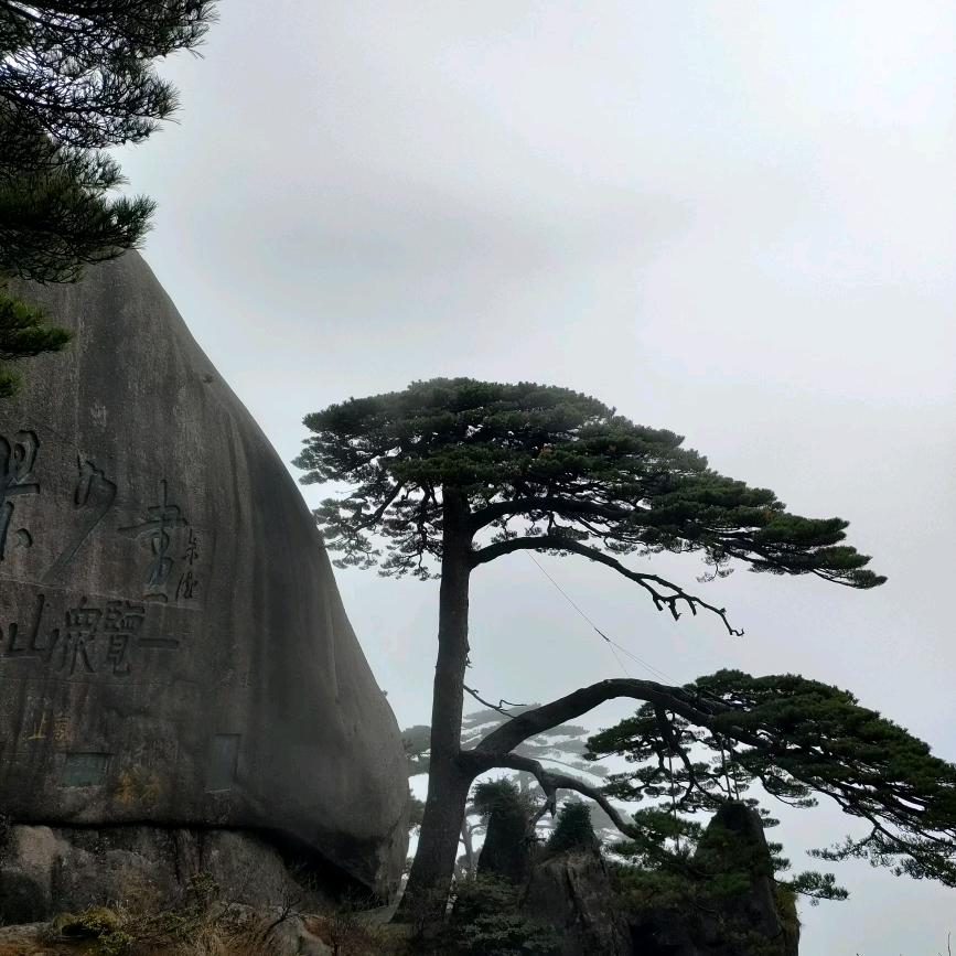 货拉拉搬家小哥