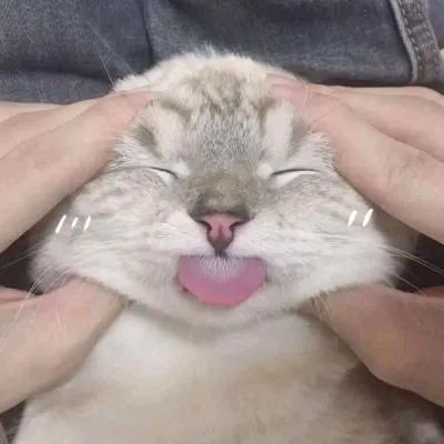 冣乂