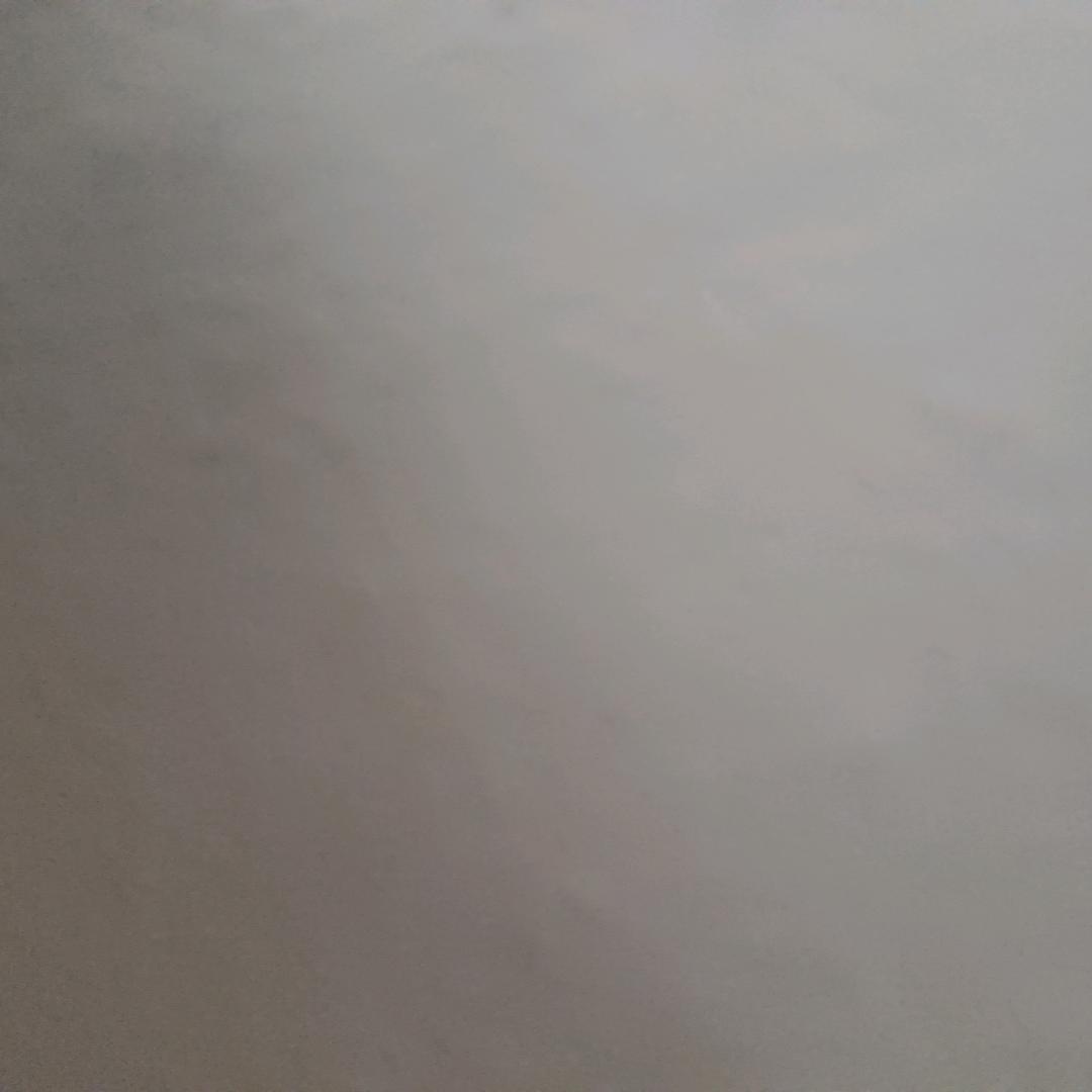 🍚