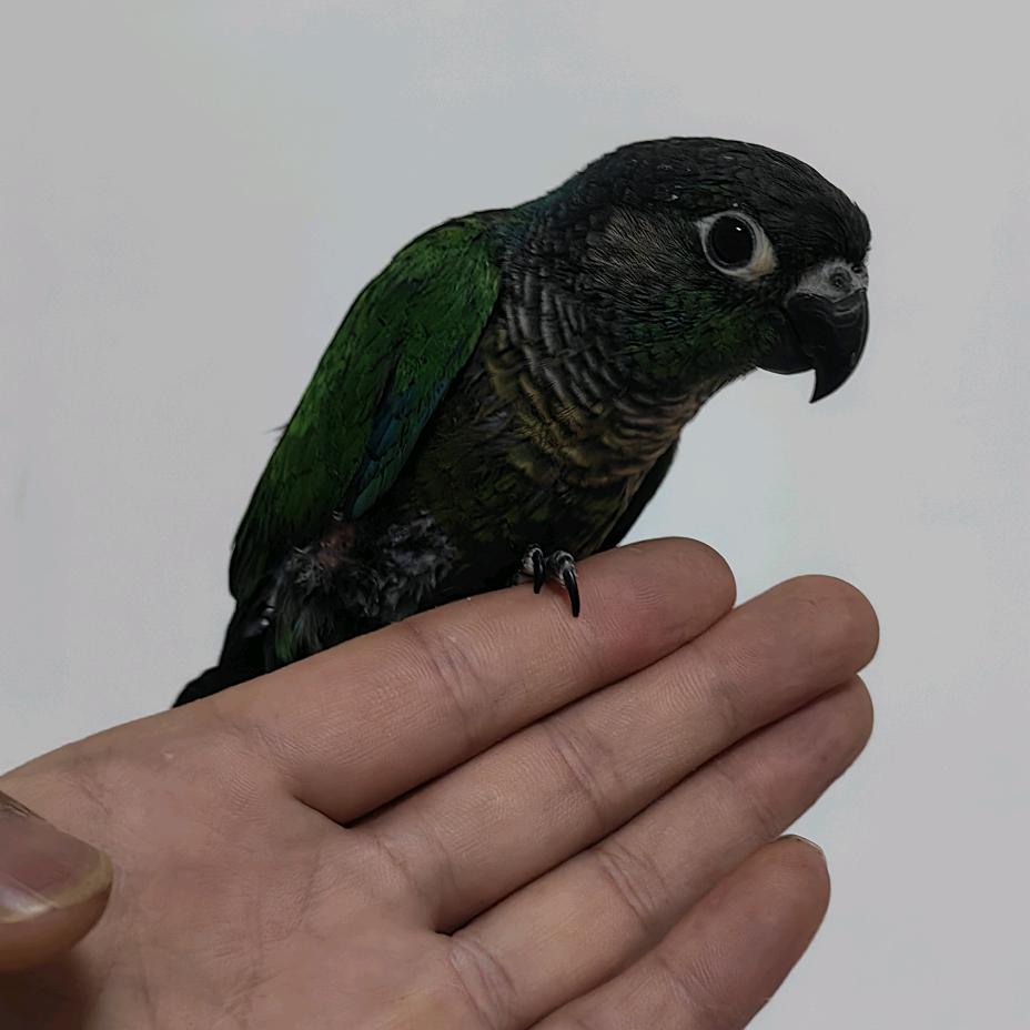 临洮小哥农产生活坊