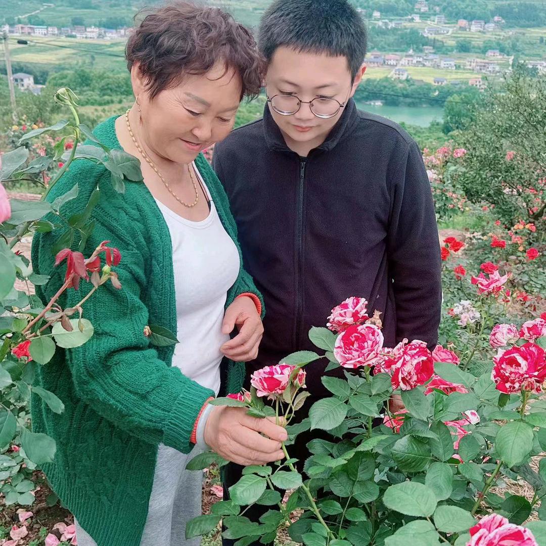 连姐很坚强
