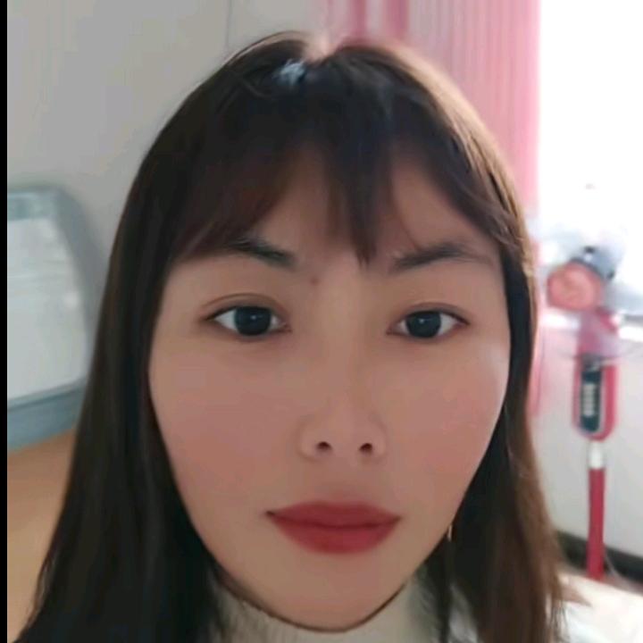 一枝梅
