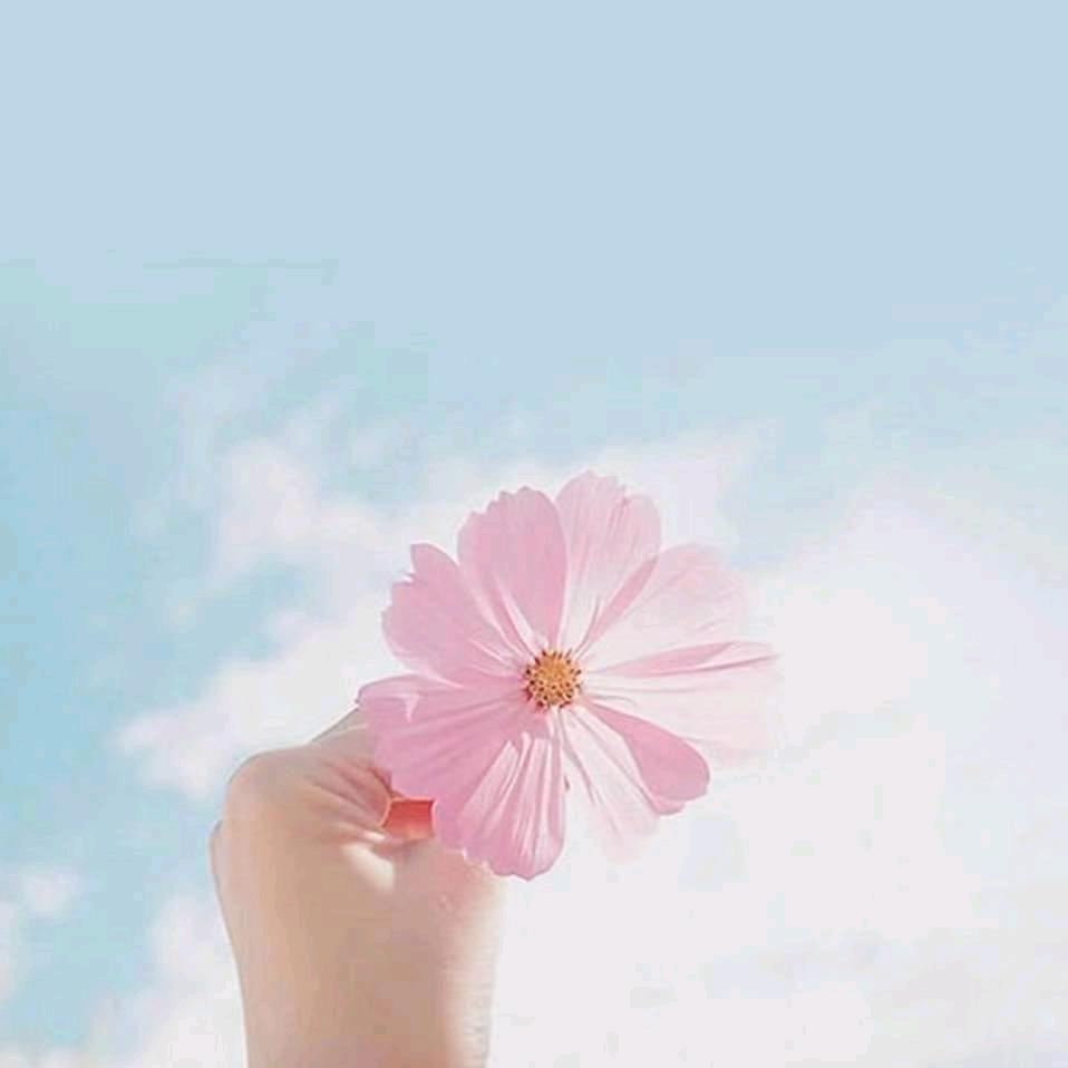 释꧔ꦿ᭄ 然ღ᭄